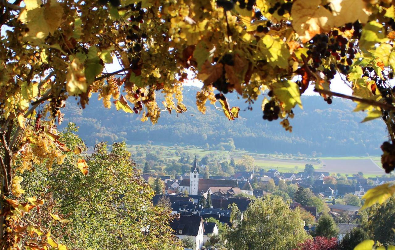 Sternen Bohlingen Aparthotel Singen Luaran gambar